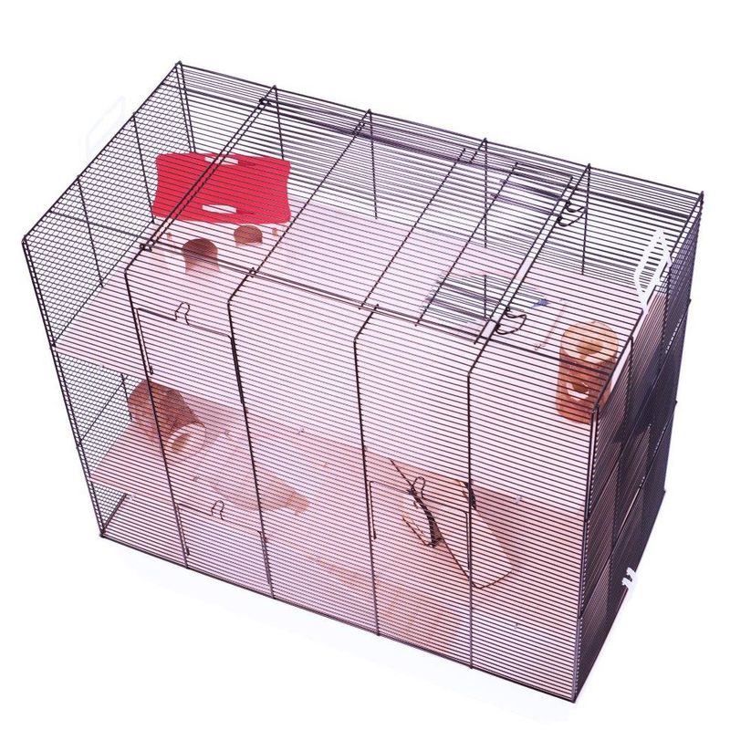 Skyline Fun Area Leon Small Pet Home Pet Supplies