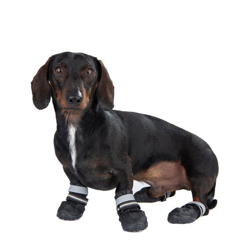 Sports & Protective Dog Boots Pet Supplies