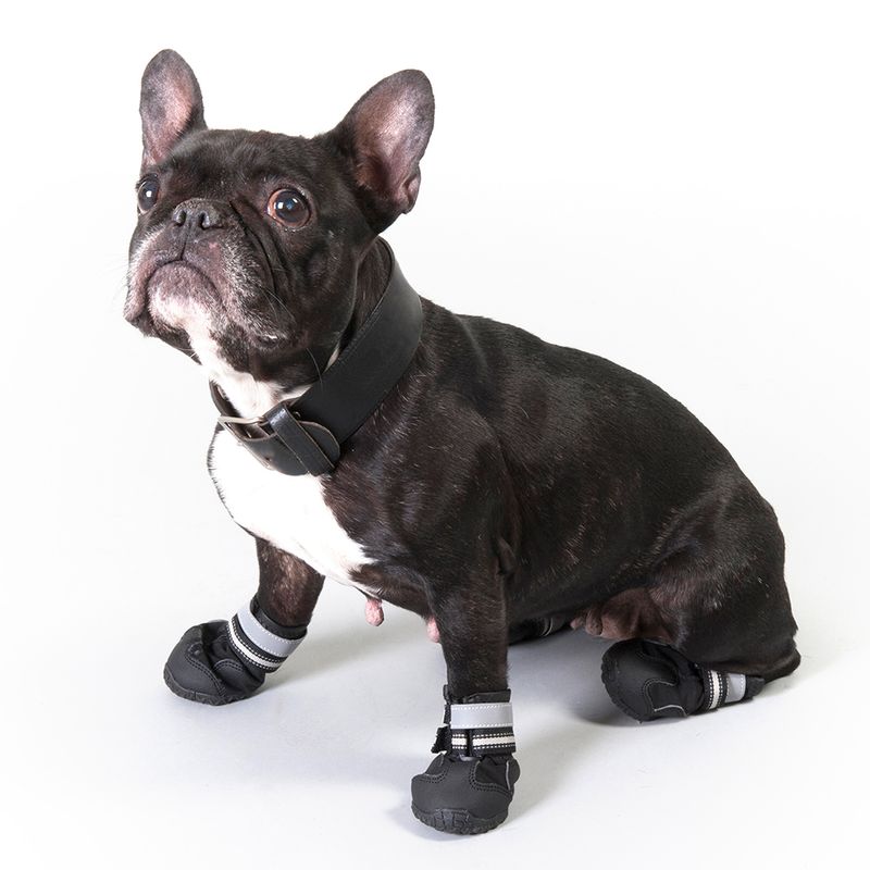 Sports & Protective Dog Boots Pet Supplies