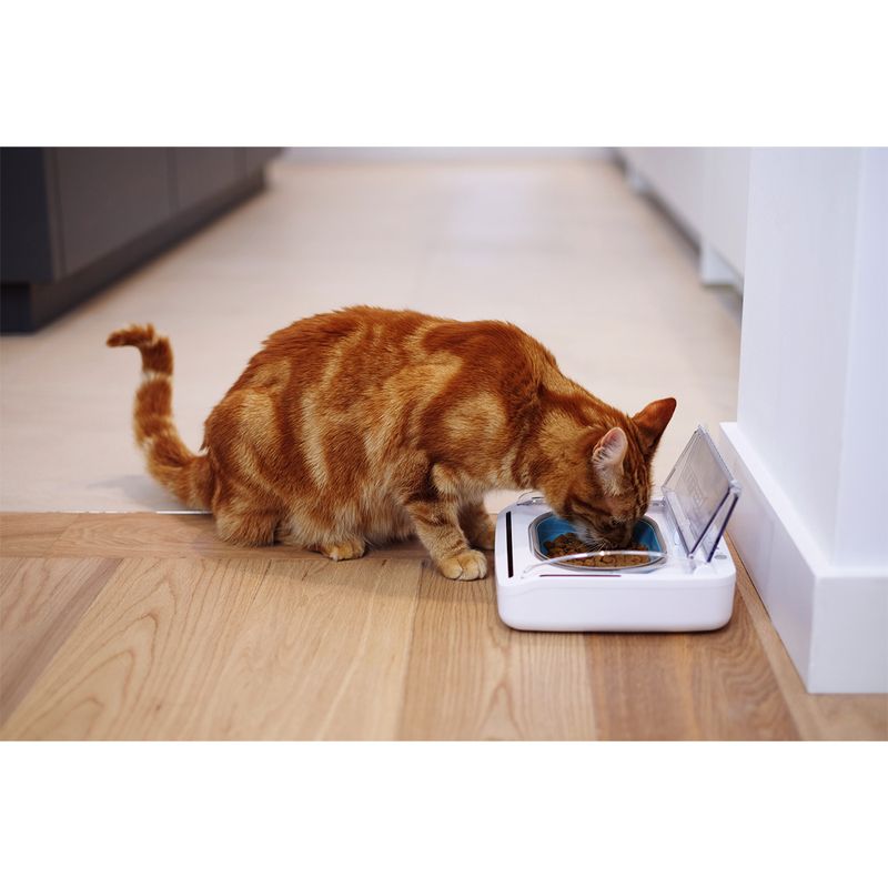 SureFeed Sealed Pet Bowl Pet Supplies