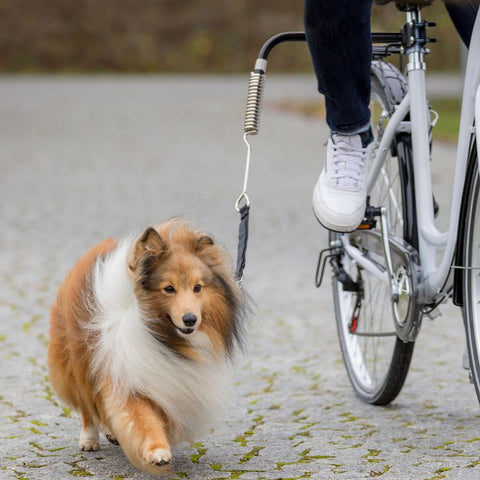 Trixie Biker Set de Luxe Pet Supplies