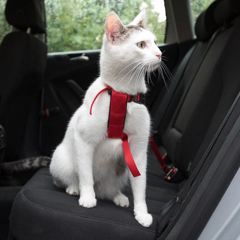 Trixie Cat Car Harness Pet Supplies