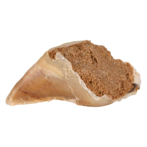 Trixie Hoof Chew with Meat Paste Pet Supplies