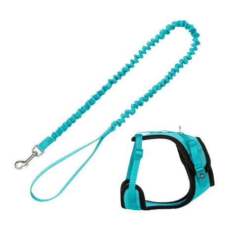 Trixie Mesh Y-Harness with Elastic Leash Pet Supplies