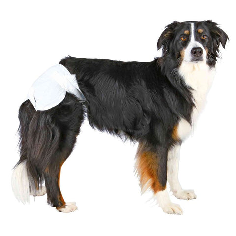 Trixie Nappies for Female Dogs Pet Supplies