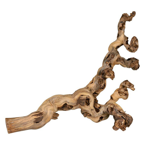 Trixie Sand-Blasted Branch Pet Supplies