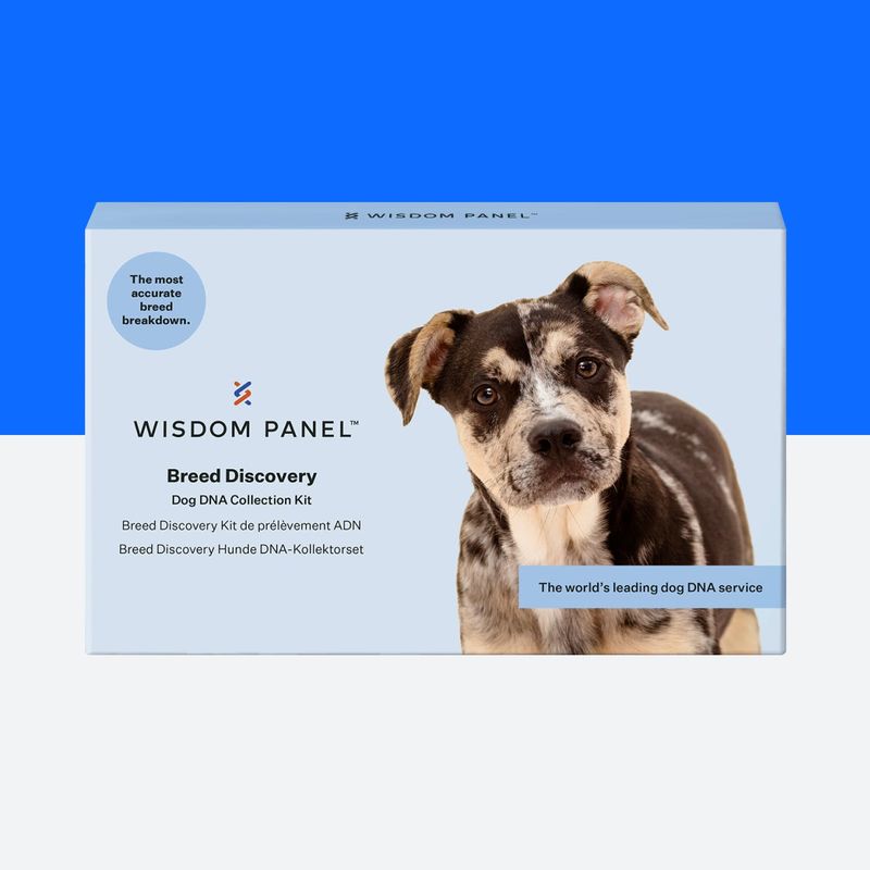 Wisdom Panel™ Breed Discovery Dog DNA Test Pet Supplies