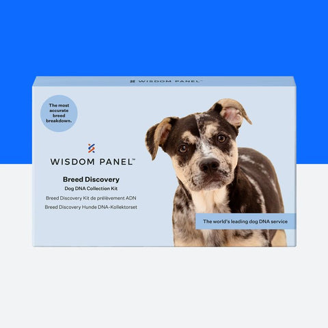 Wisdom Panel™ Breed Discovery Dog DNA Test Pet Supplies