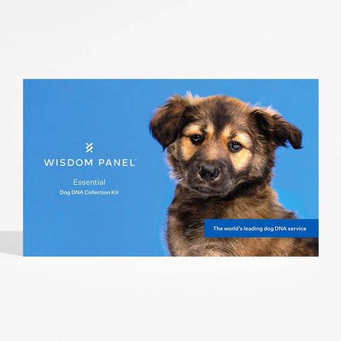 Wisdom Panel™ Essential Dog DNA Test Pet Supplies