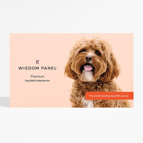 Wisdom Panel™ Premium Dog DNA Test Pet Supplies