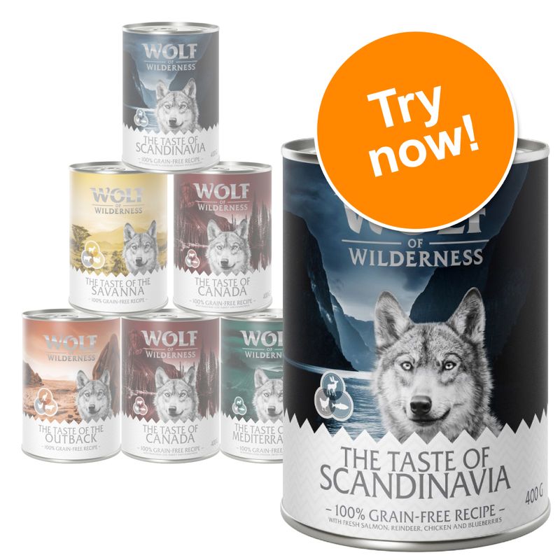 Wolf of Wilderness Adult “The Taste of” Mixed Pack Pet Supplies