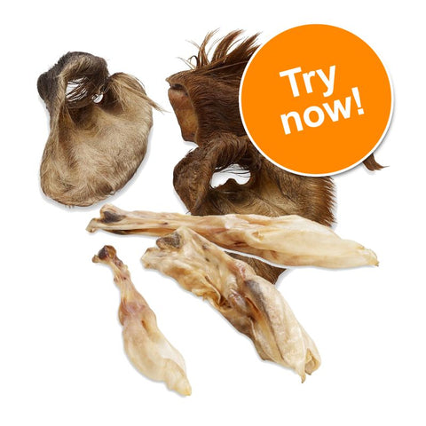 Wolf of Wilderness Dried Ears Dog Chews Trial Pack Pet Supplies