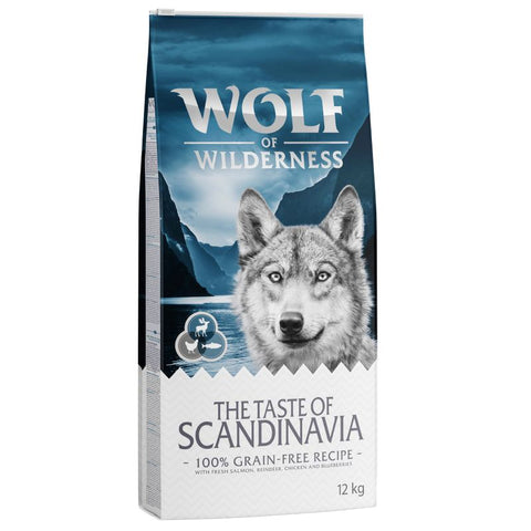 Wolf of Wilderness 
