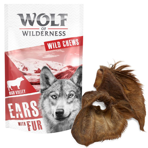 Wolf of Wilderness 