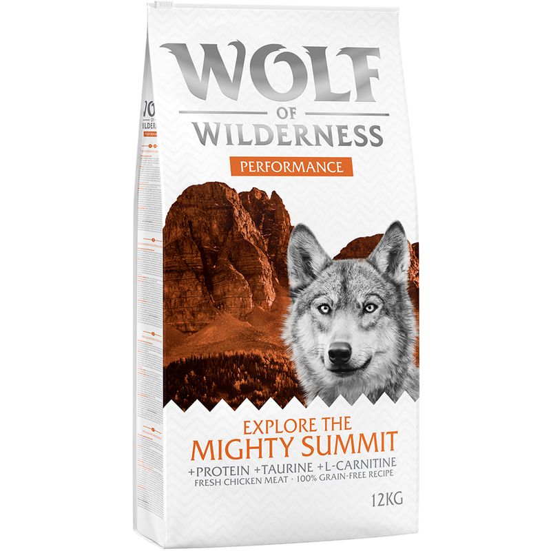 Wolf of Wilderness "Explore The Mighty Summit" - Performance || Wolf of Wilderness || view 1